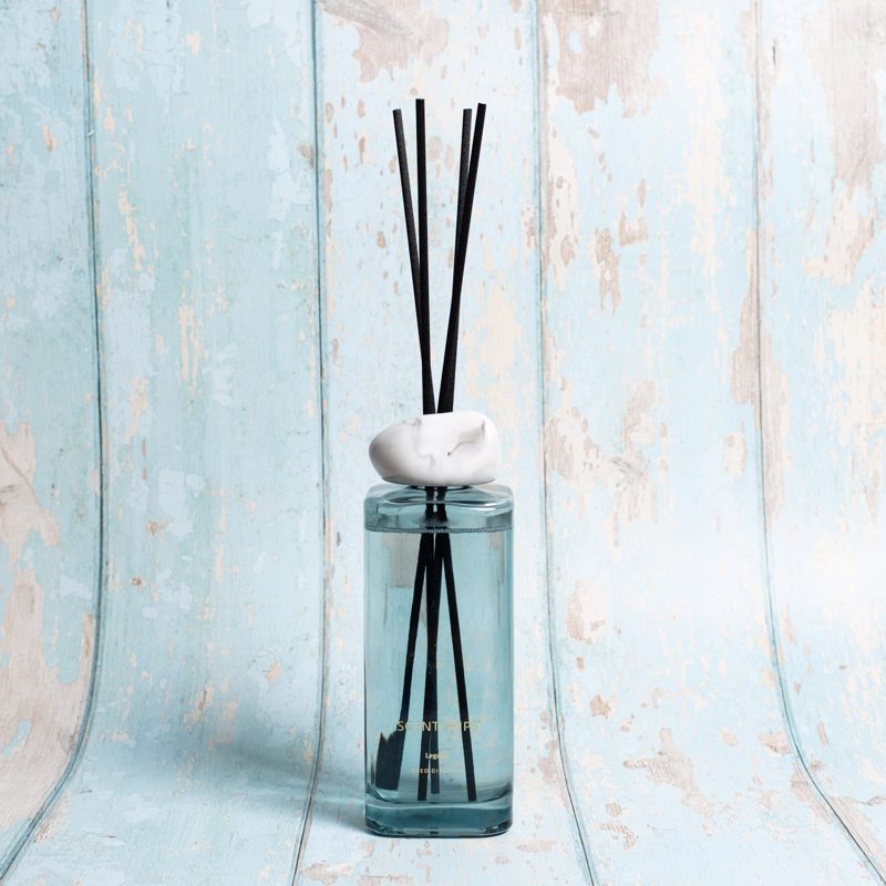 Αρωματικό Χώρου με Sticks Bliss Legend Grey 500ml 300214